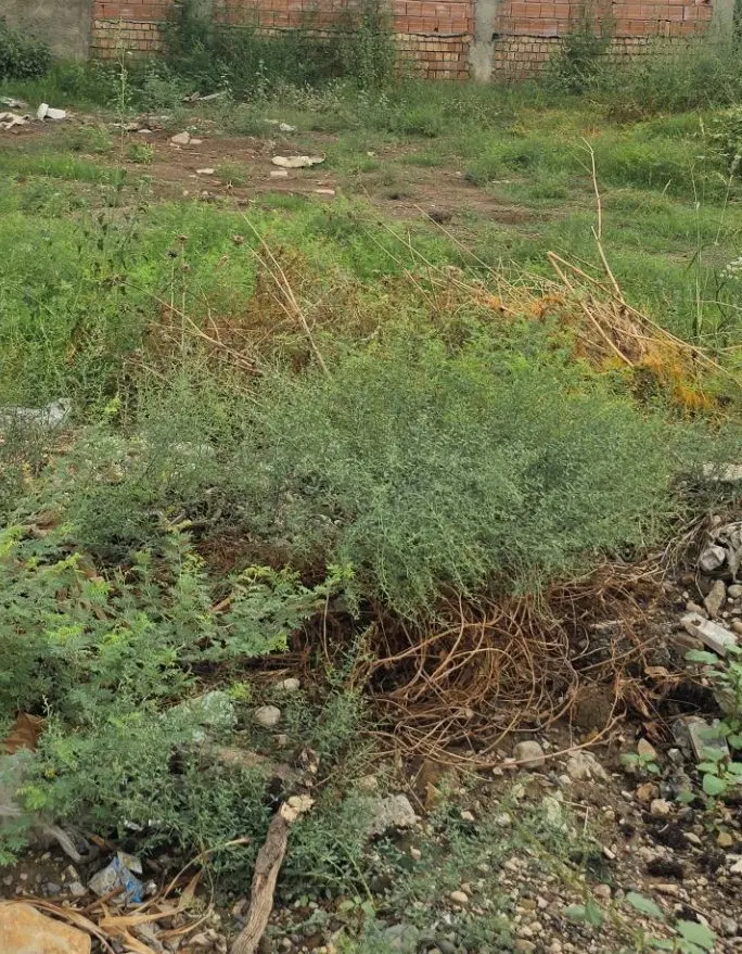 زمین شهرک خسروی خیابان بهاران