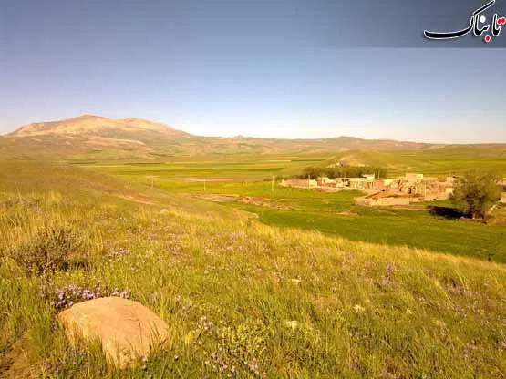 زمین