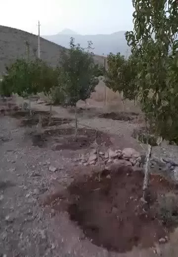 زمین (باغچه)برای یک سرمایه گذاری عالی