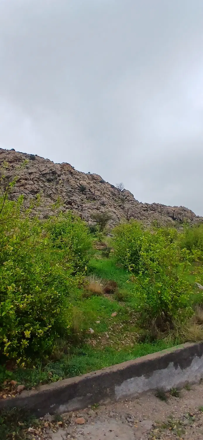 باغ کلاغ نشین گچساران