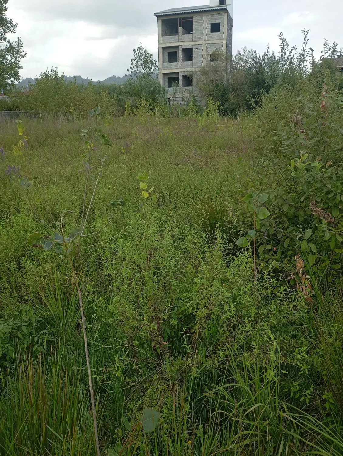 فروش زمین باغی