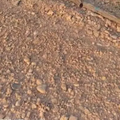 زمین ۲۰۰ متر شهر شرافت