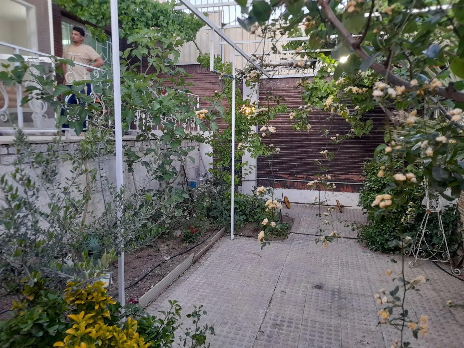 ویلایی ۱۸۰ متری جنوبی