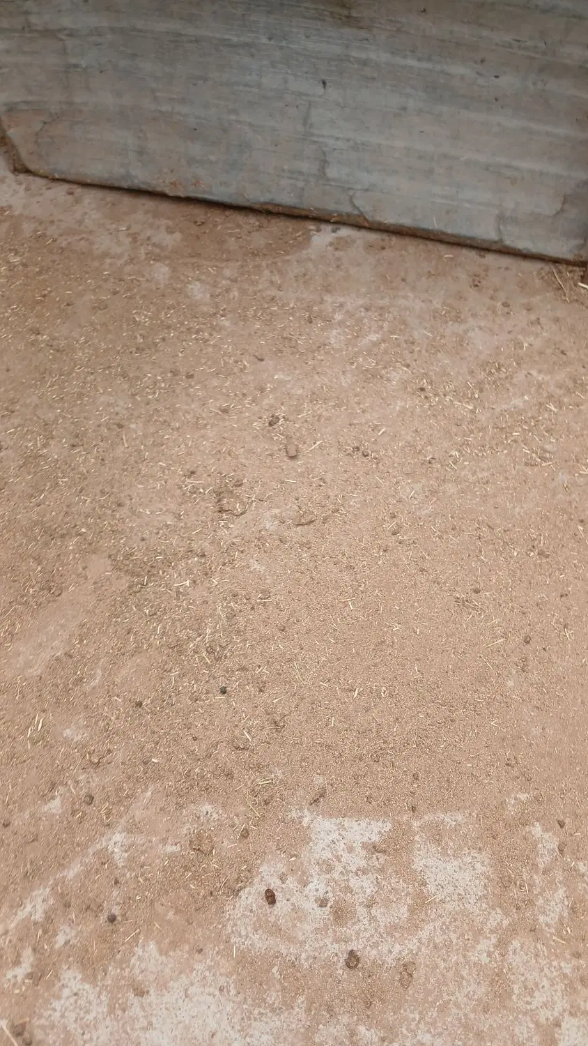 انبار جای کاه