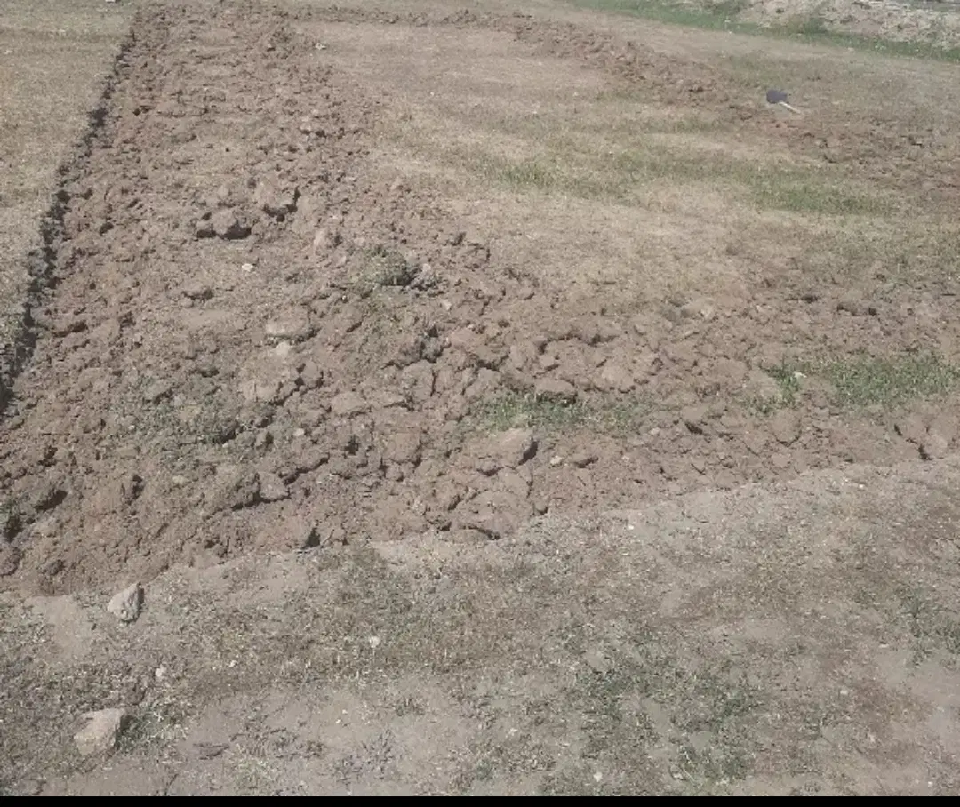 زمین مسکونی در روستای کله سر