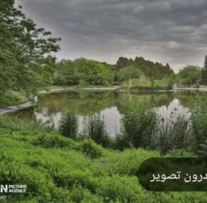 اجاره باغ ۱۰۰۰ متری با خاک فوق‌العاده حاصلخیز