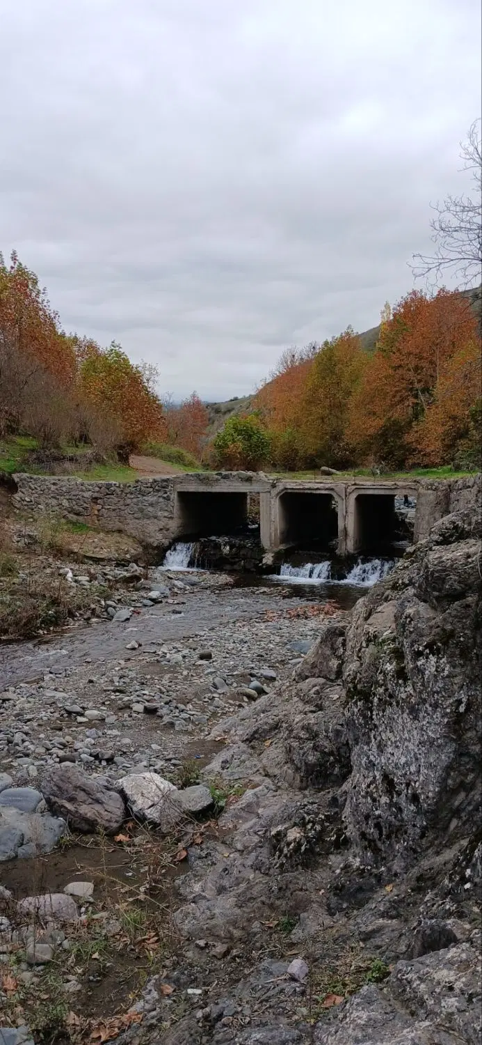 اجاره .خانه ویا کارگاهی درالوارعلیا