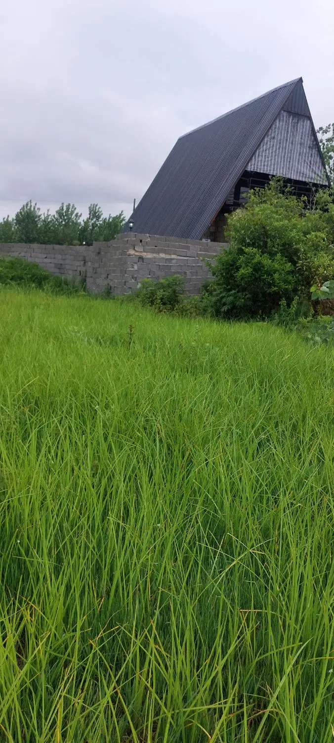 زمین فروشی برجاده خاکی