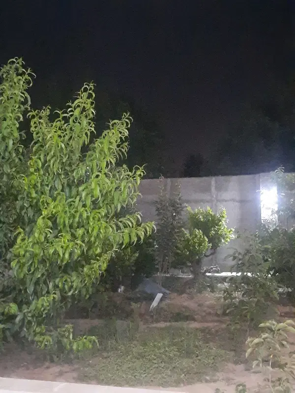 فروش زمین در پشت راه دینکان