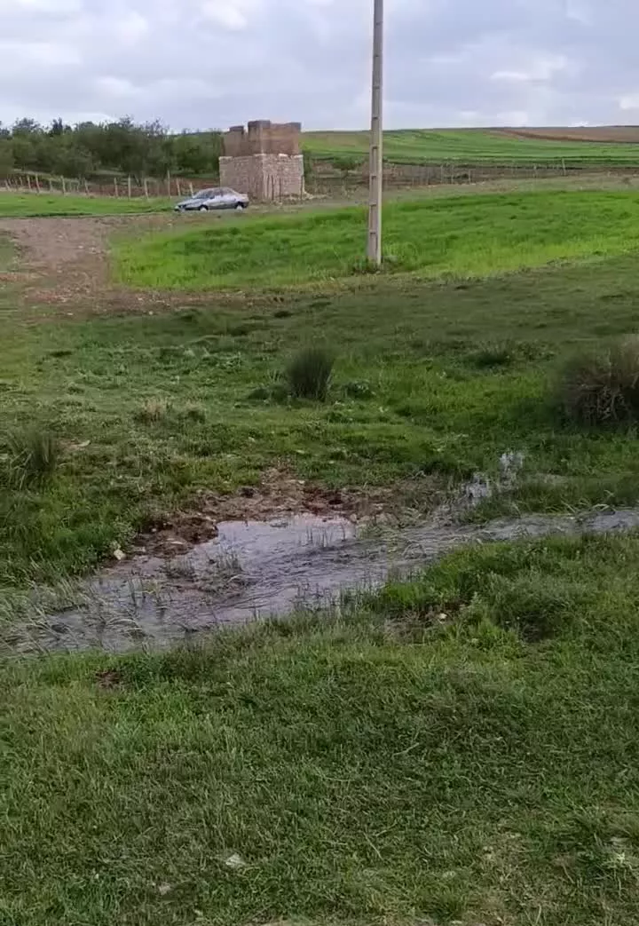 باغ و خانه باغ