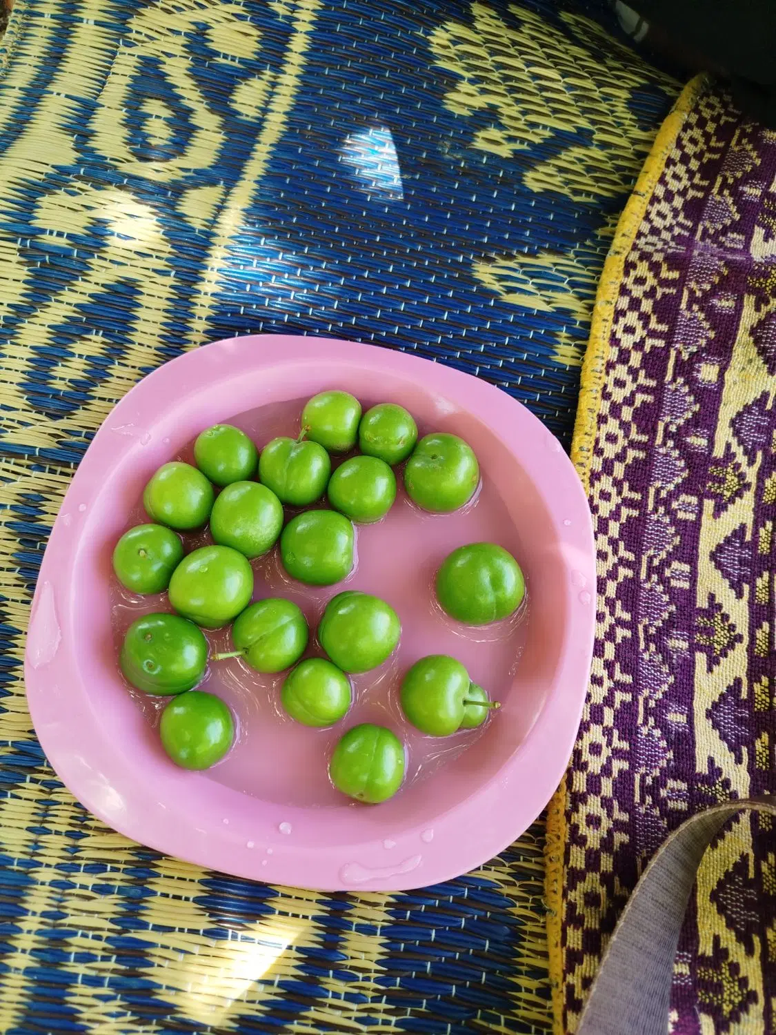 باغ کمالوند