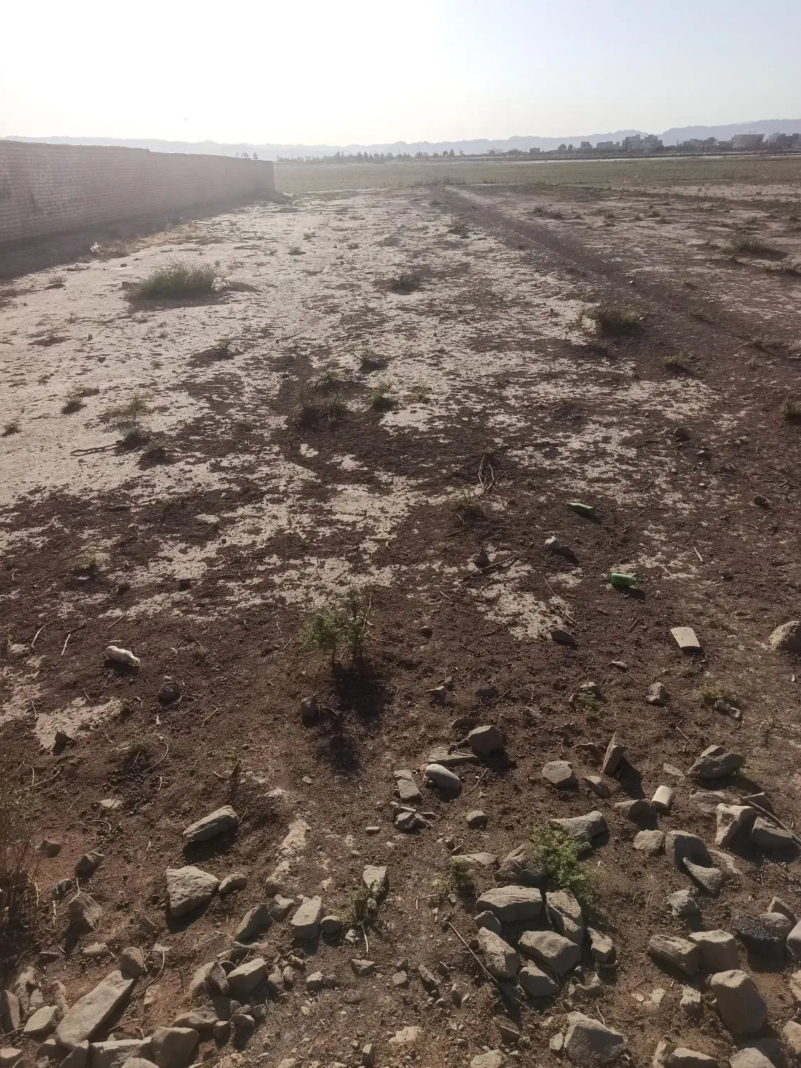 زمین کشاورزی