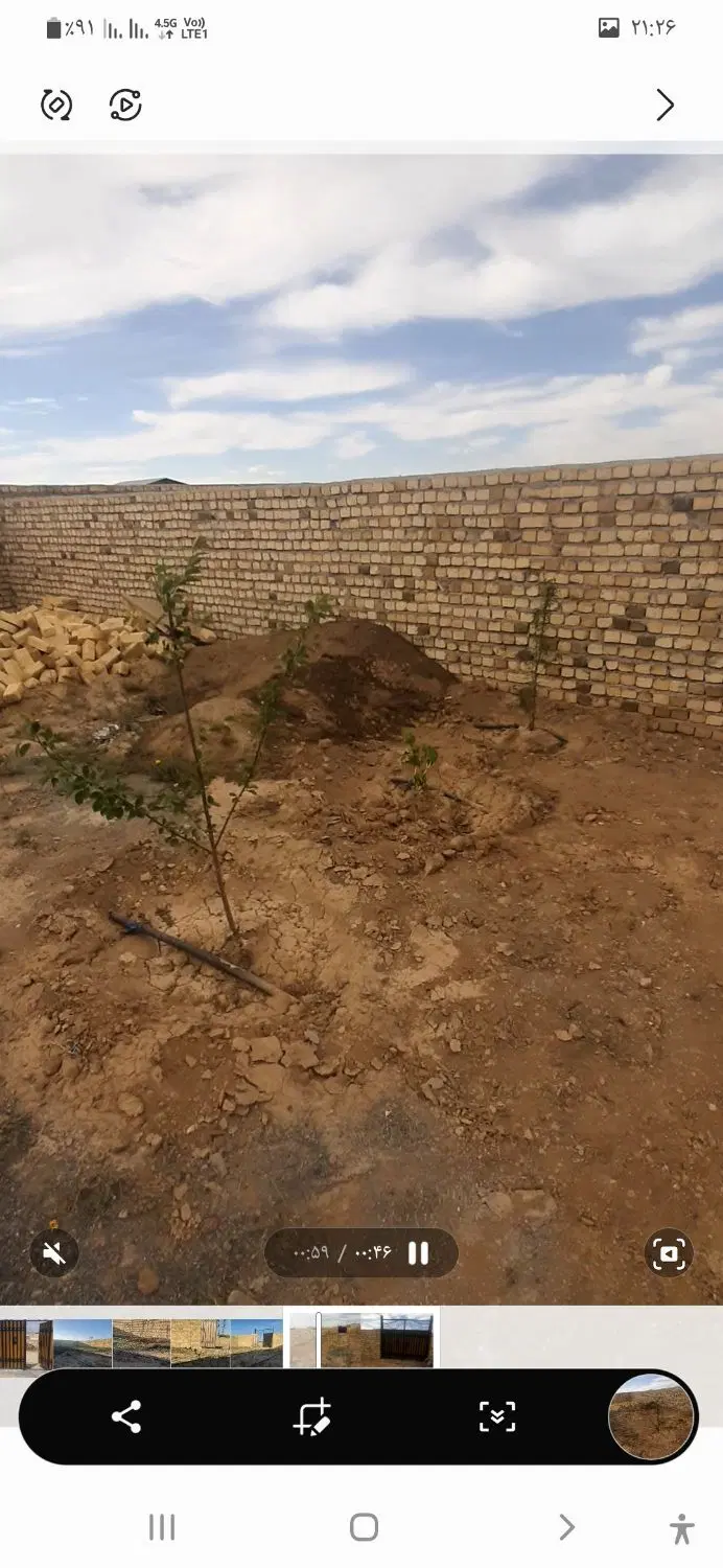 باغ گاوخانه زیر پل کمربندی