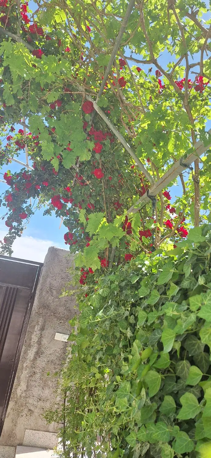 ویلای فروشی کوهپایه انارستان منطقه خوش آب و هوا