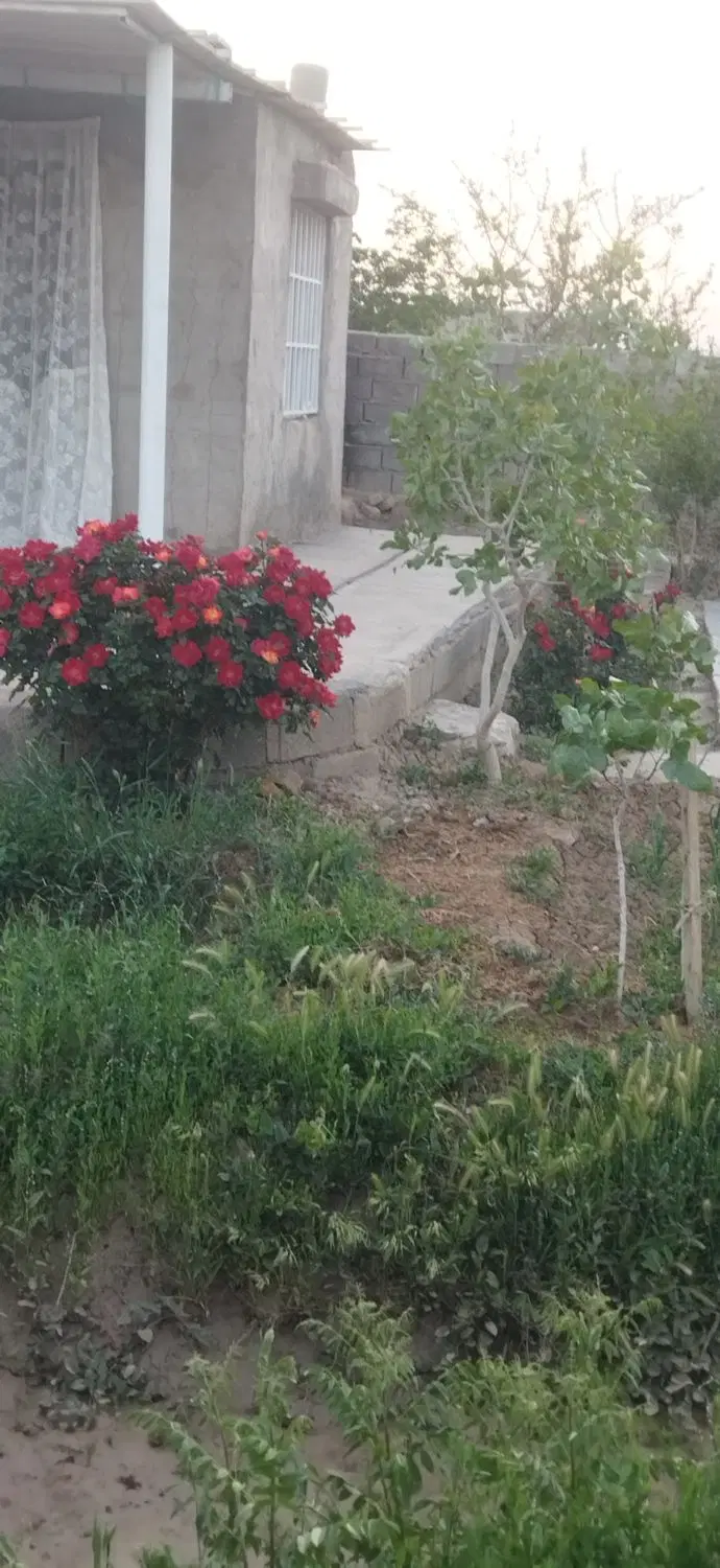 باغ