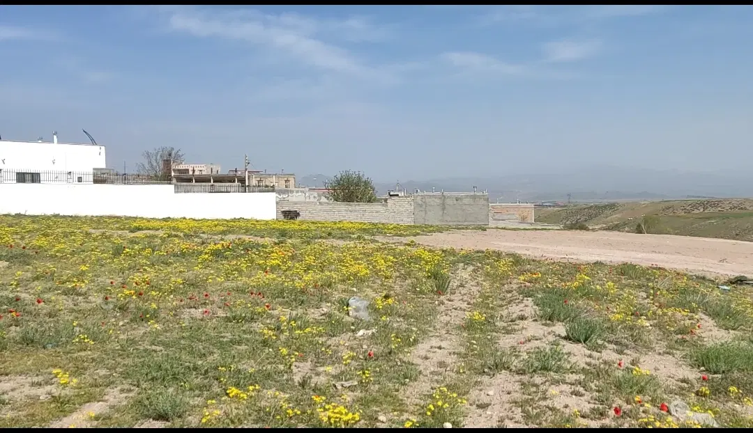 با پول یک پرایدصاحب  ۲۰۰ متر زمین با بر ۱۲ مترشوید