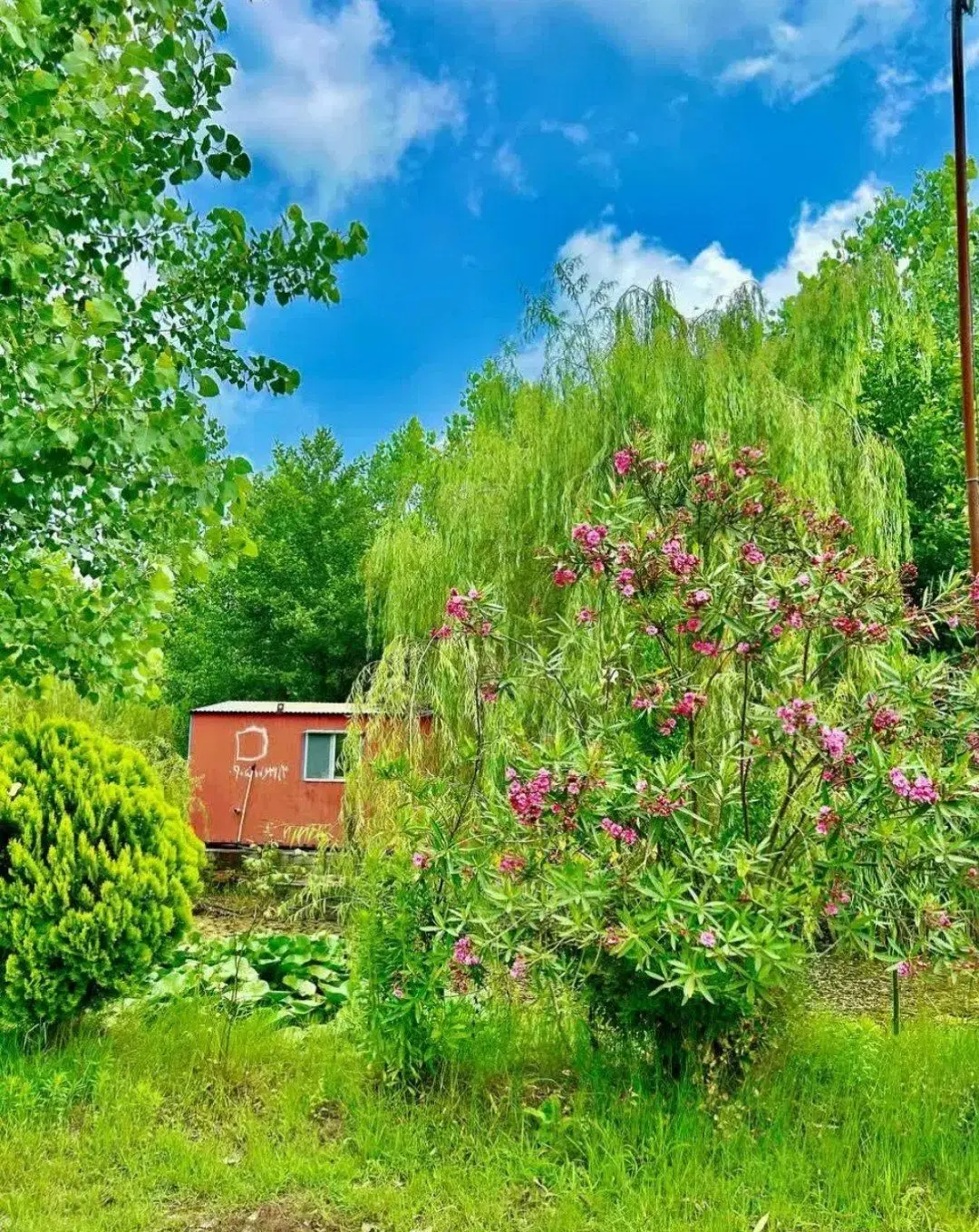 منزل ویلایی شمالی دربست