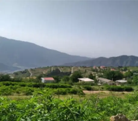 فروش زمین