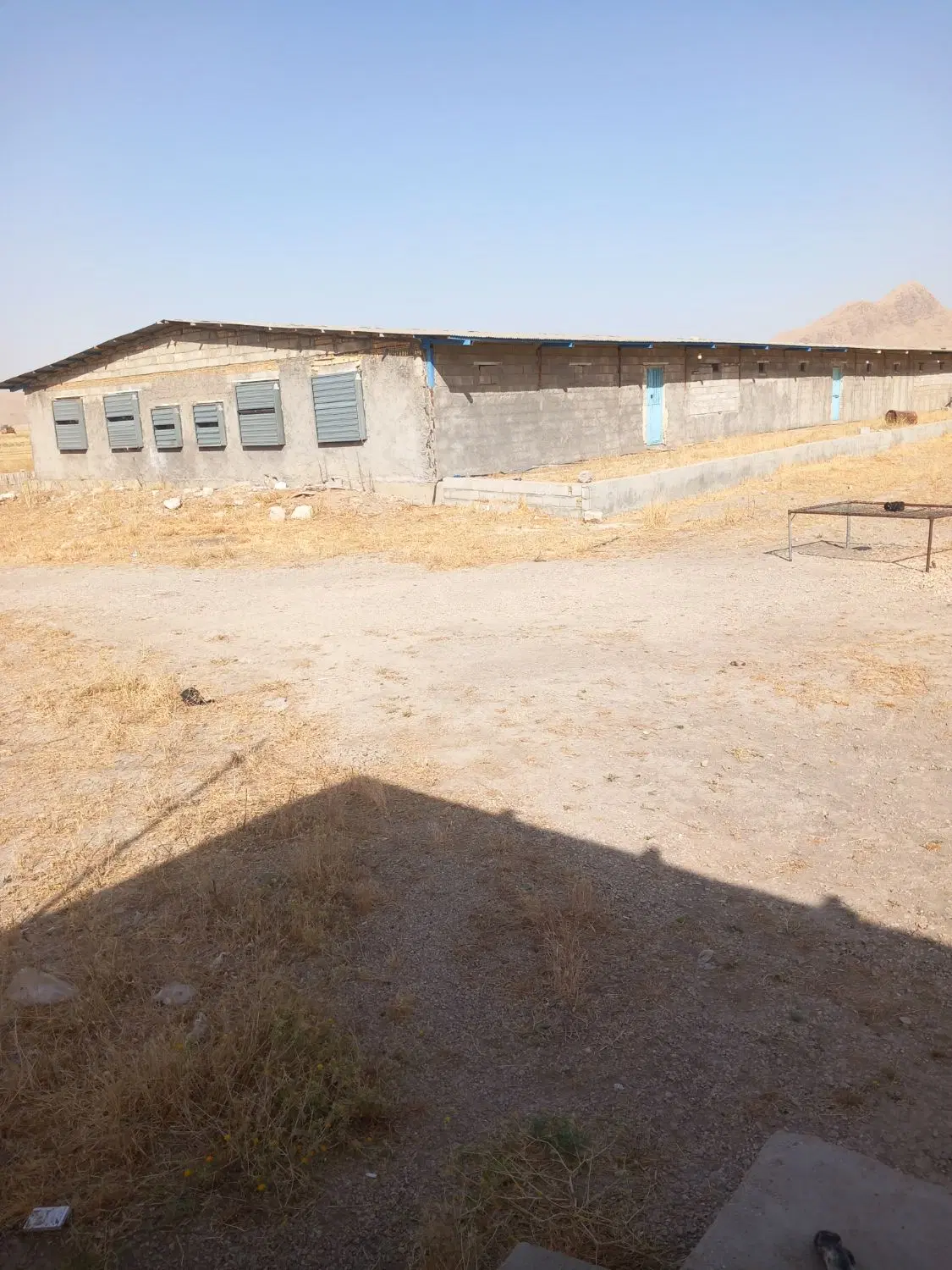 فروش مرغداری گوشتی ۲۰۰۰۰
