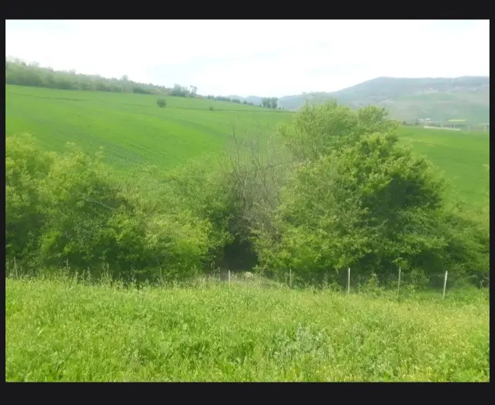 زمین زراعی باغی