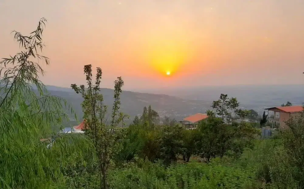 زمین