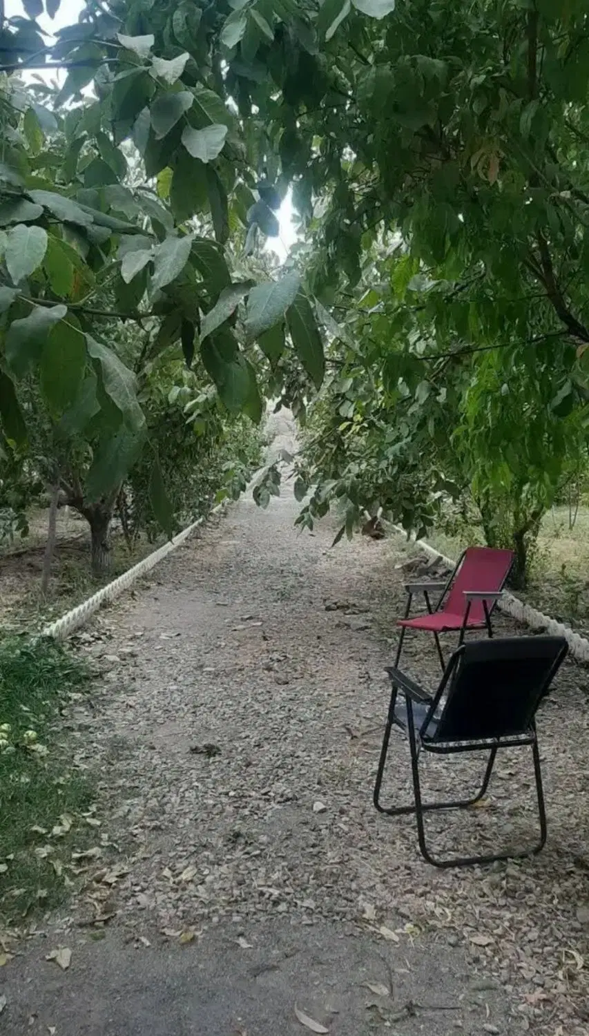 فروش باغ