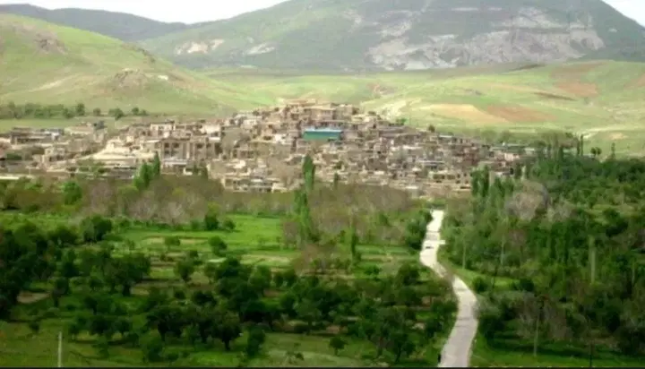باغ  انگور   اردبیلگ