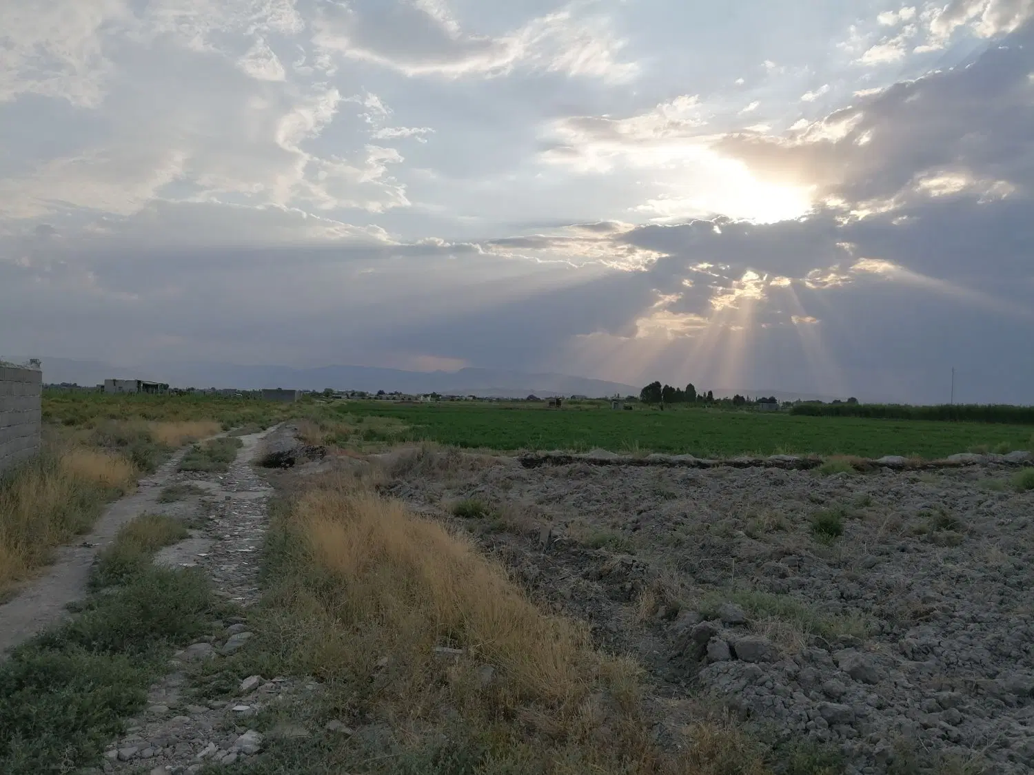 4600متر زمین کشاورزی واقع در اردوشاهی کوی ارسباران