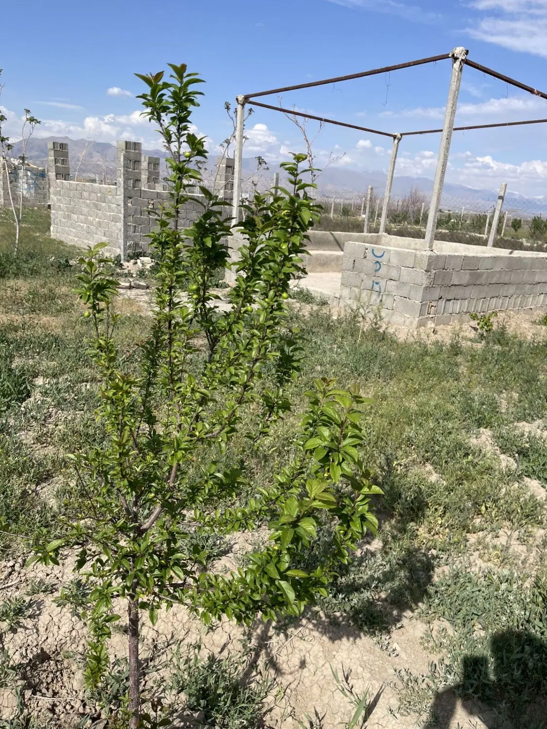 باغ دور فنس آلاچیغ دستشویی درب آهنی جای منبع فوری