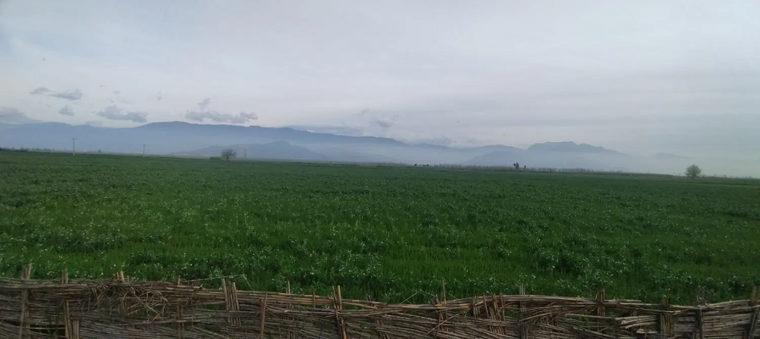 زمین تجاری مسکونی