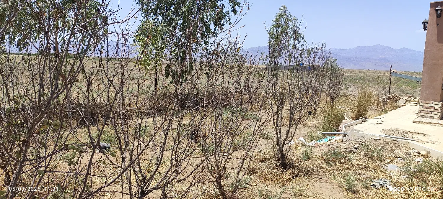 خونه باغ کویری