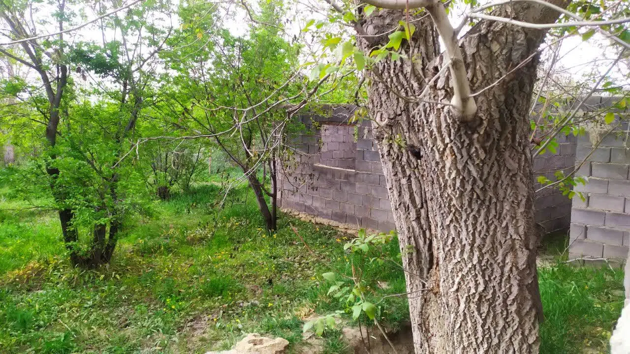 باغ سنگستان ۷۵۰ متر