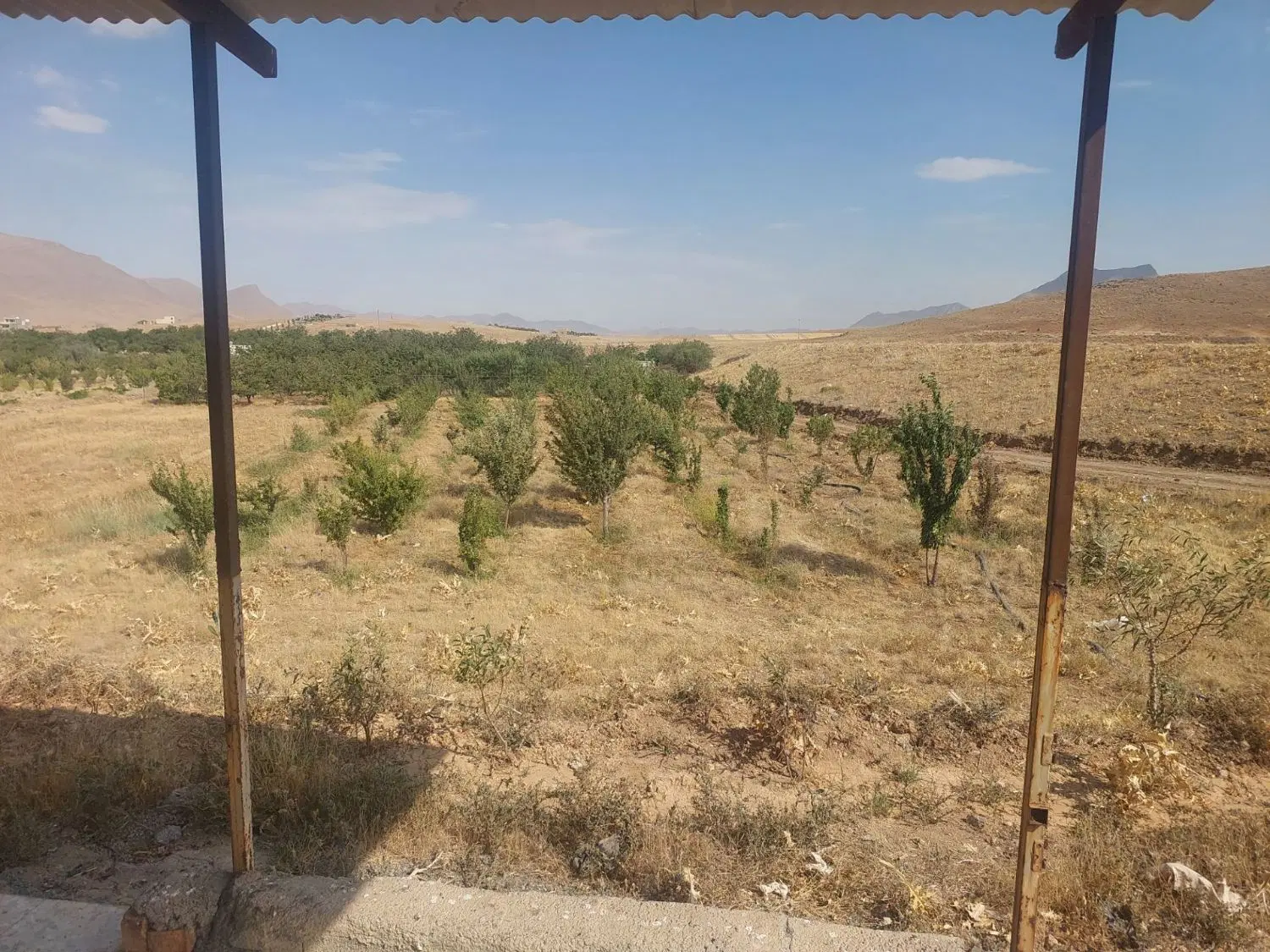 زمین کشاورزی