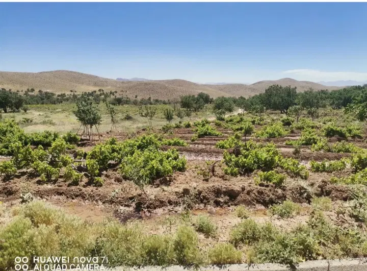 فروش زمین