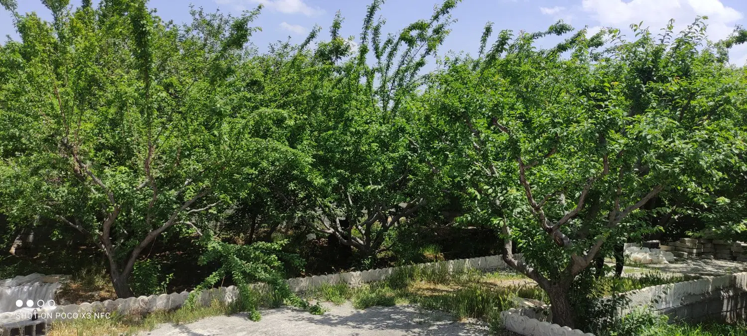 باغ در شهریار