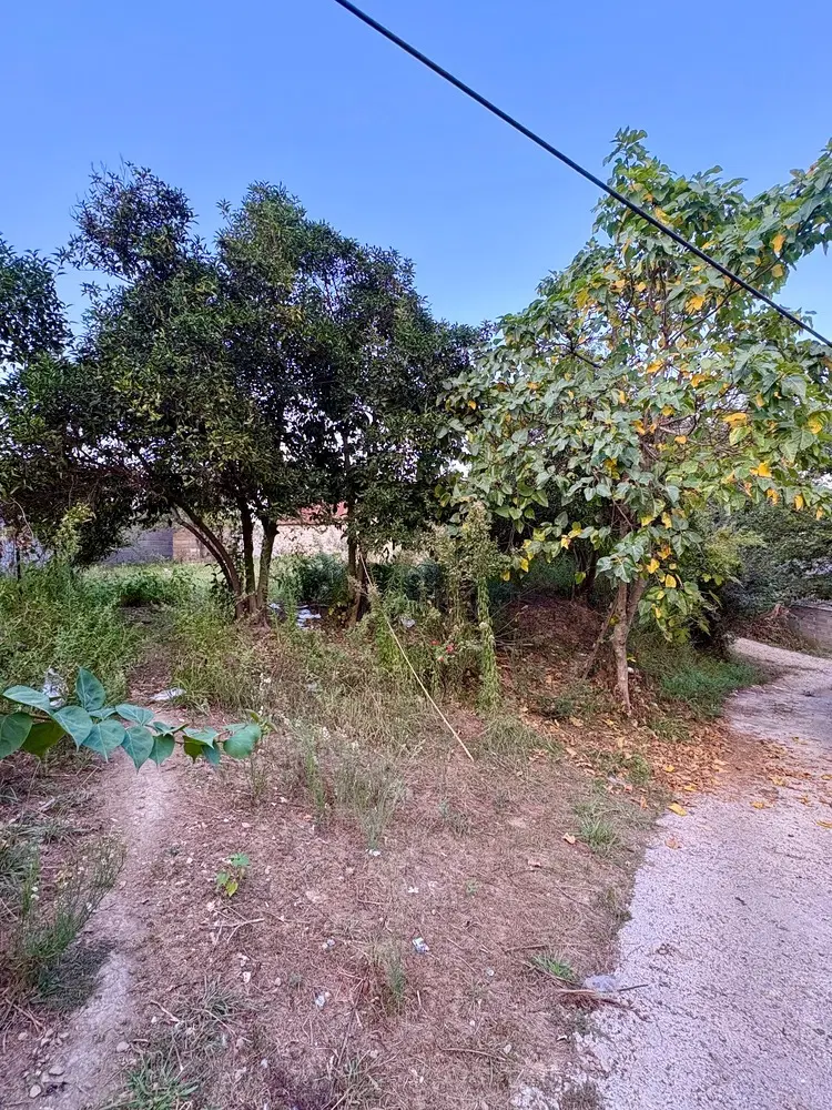 زمین مسکونی ۳۴۵ متر