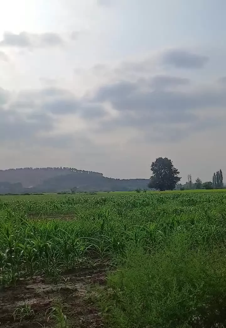 زمین خوش‌قواره در جلین همراه با آب