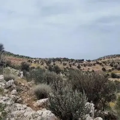 زمین
