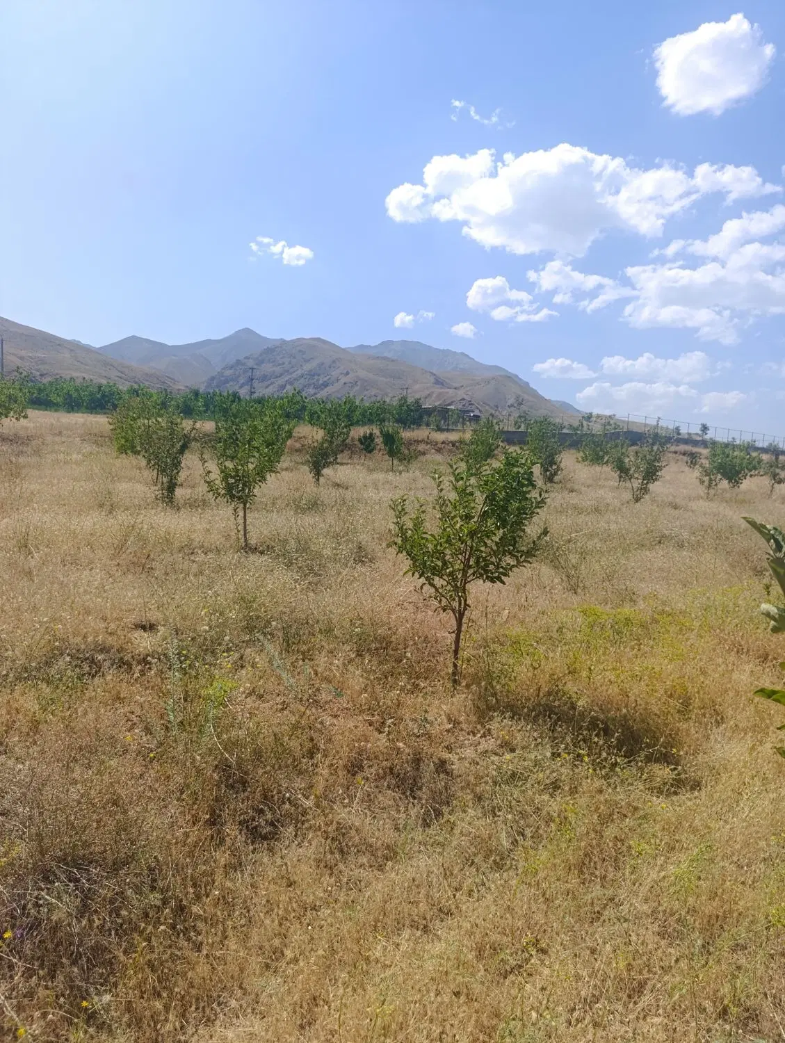باغ در روستای خوش آب هوای سیوان