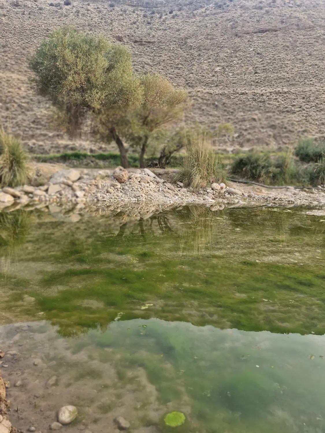 فروشی زمین مسکونی