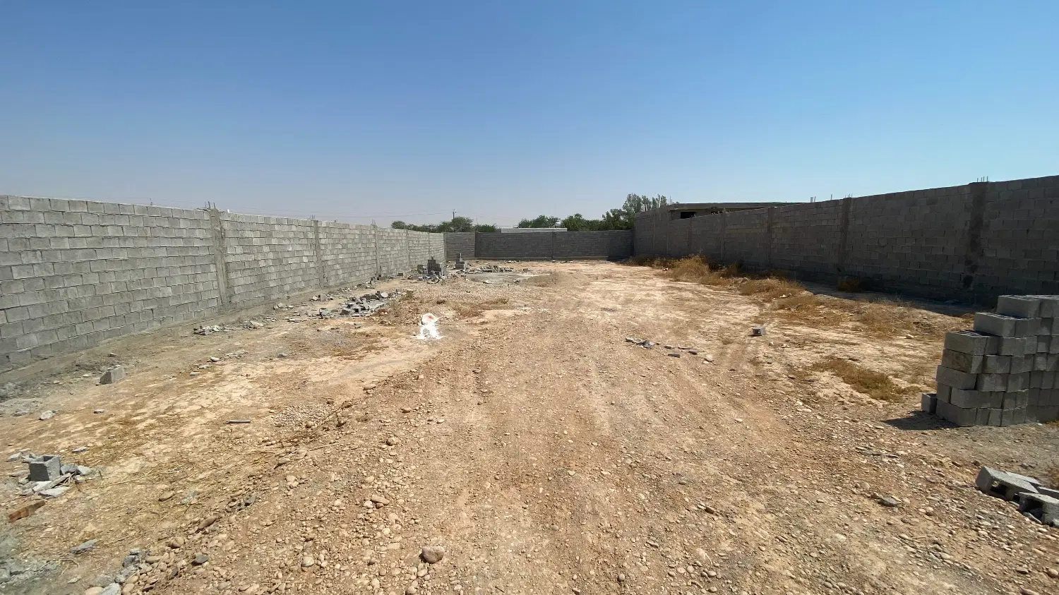 زمین باغی
