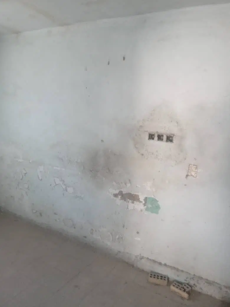 ملک قدیمی طیب ۱۹