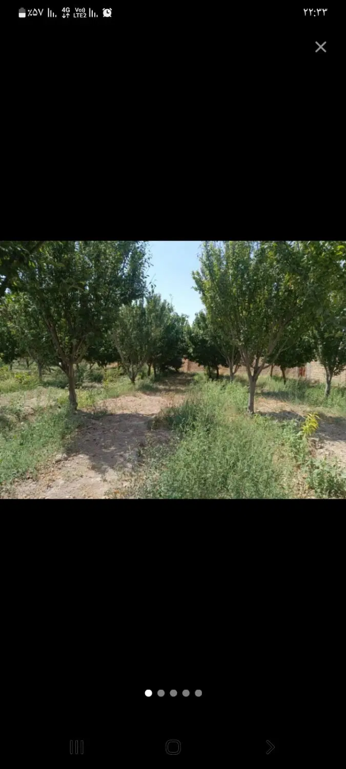 باغچه