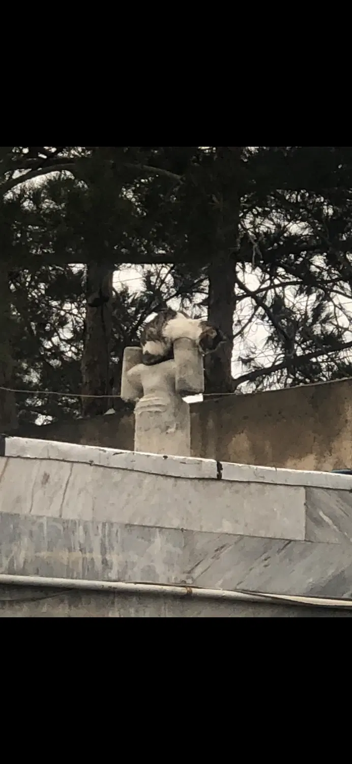 فروش کلنگی نقلی