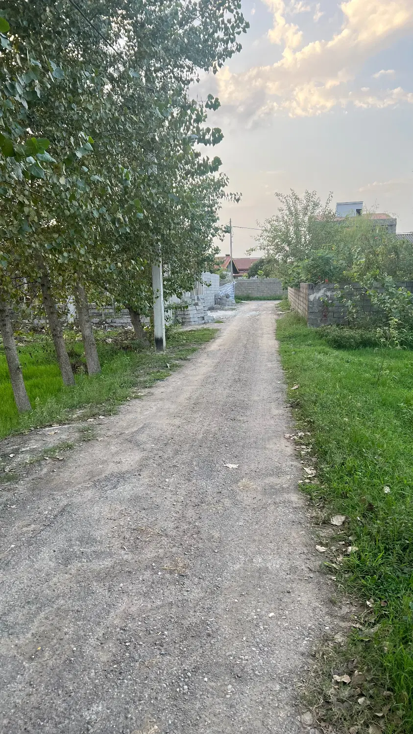 زمین ۲۵۷ متر انزلی طالب آباد