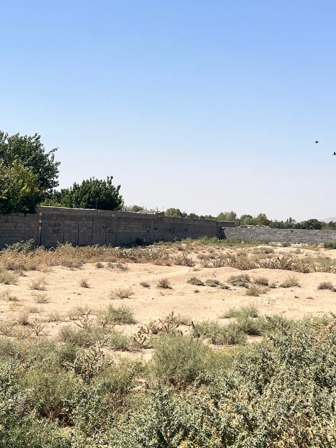 قطعات ۲۷۰ متری_ چسب بافت_ با زیر یک‌ میلیارد تومان
