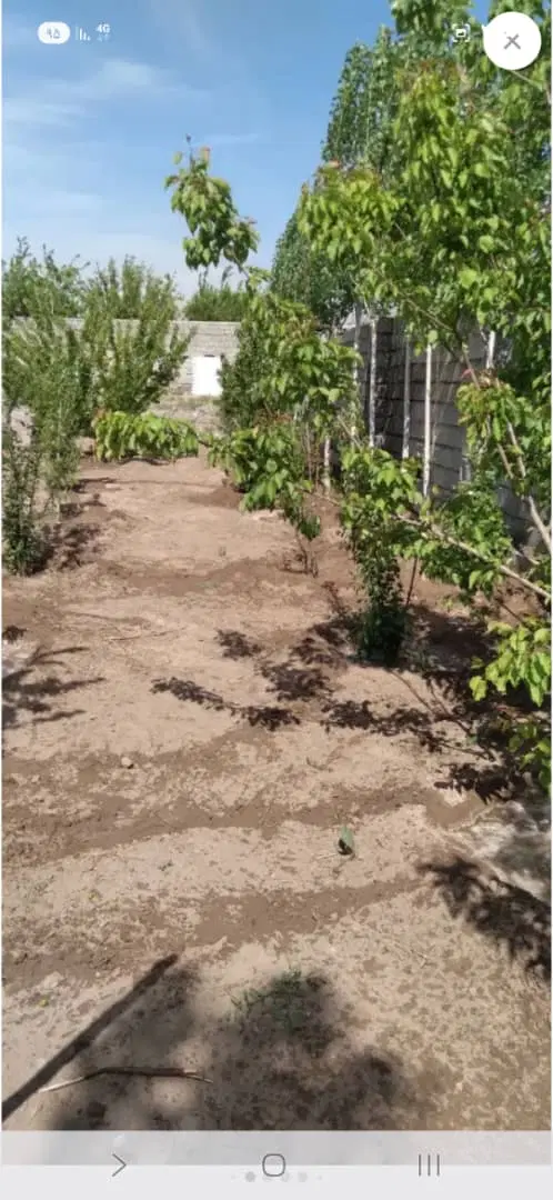 زمین فروشی کوهپایه