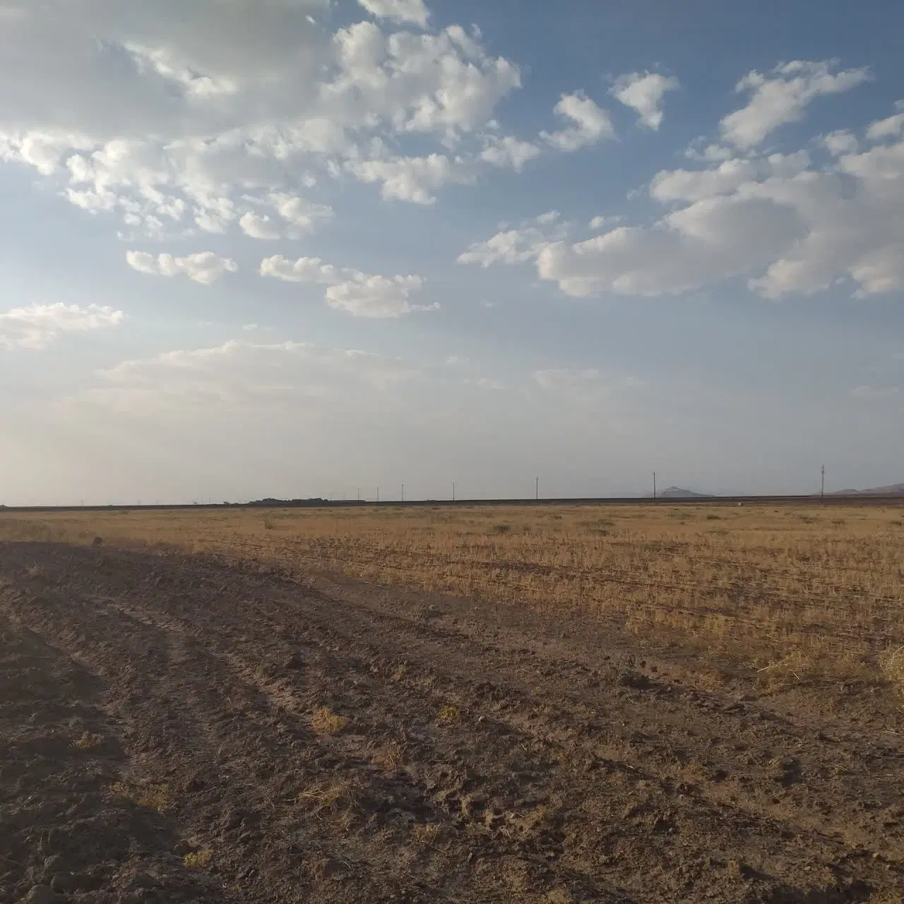 فروش زمین زراعی دیمی همدان کبودرآهنگ روستای روعان