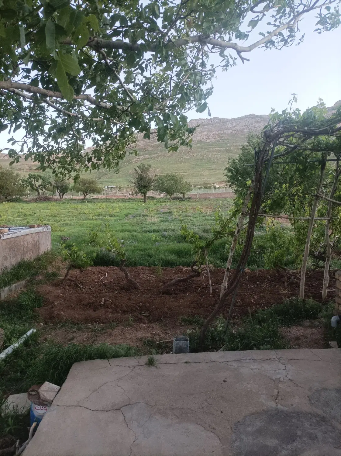 اجاره زمین کشاورزی