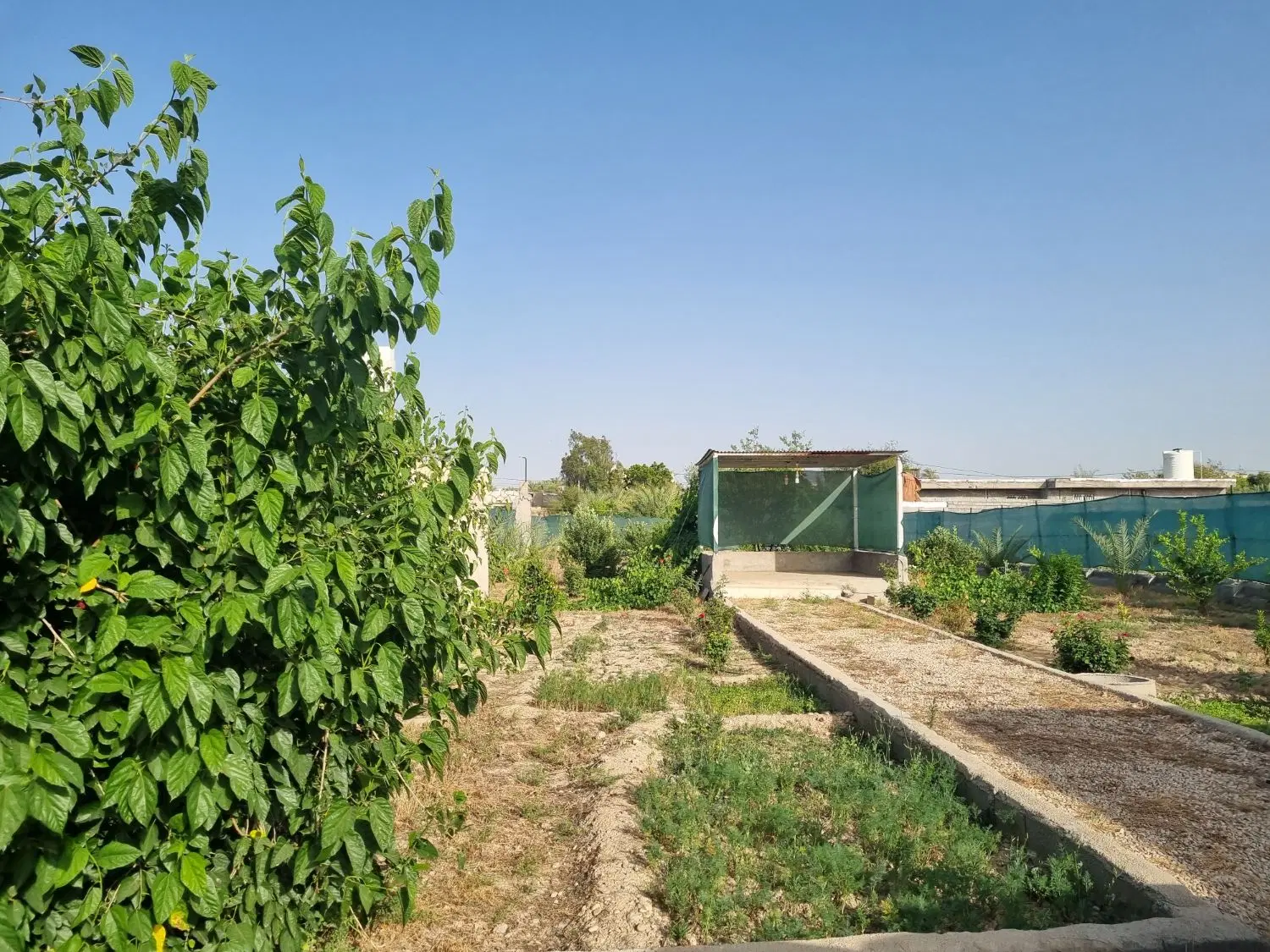 باغ کامرانیه خارستان
